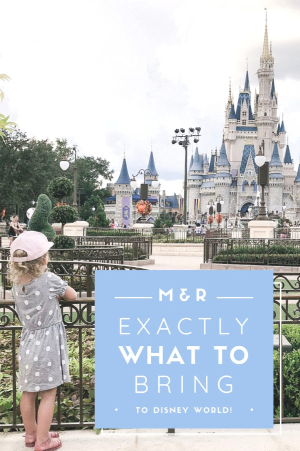 Disney World Vacation Planning || What to Bring With You to the Park!