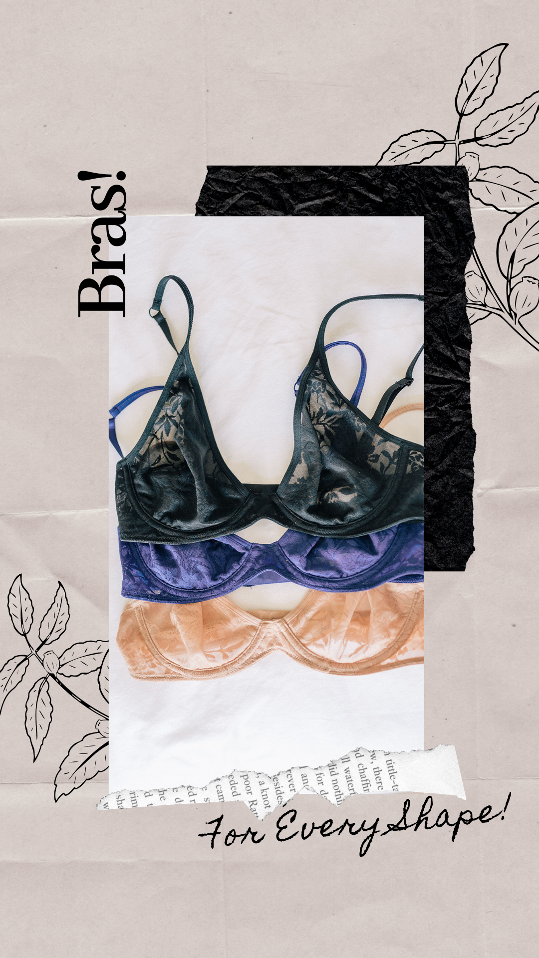best-Bras The Best Lace Wire Bra as a Small Chested Women