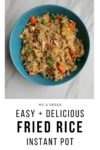 INSTANT POT Fried Rice Recipe Easy