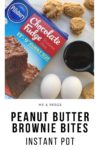 Peanut Butter Brownie Bites Recipe instant Pot