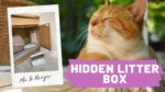Hidden Kitty Litter Box DIY