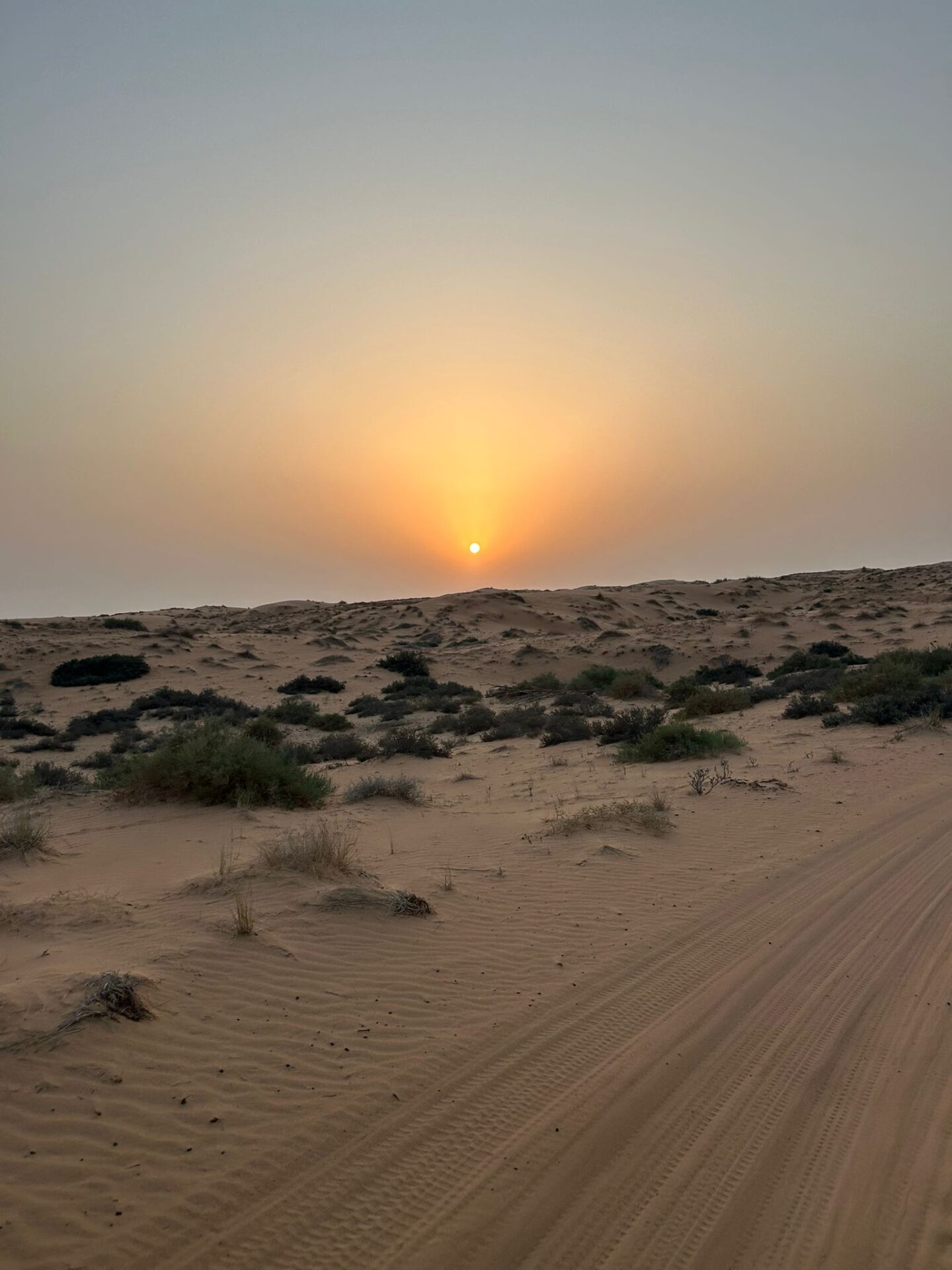 04cb2d9b-a50d-4aa6-9563-fcbc88078906-1440x1920 The Desert Ended Up Being My Favorite Part of Dubai
