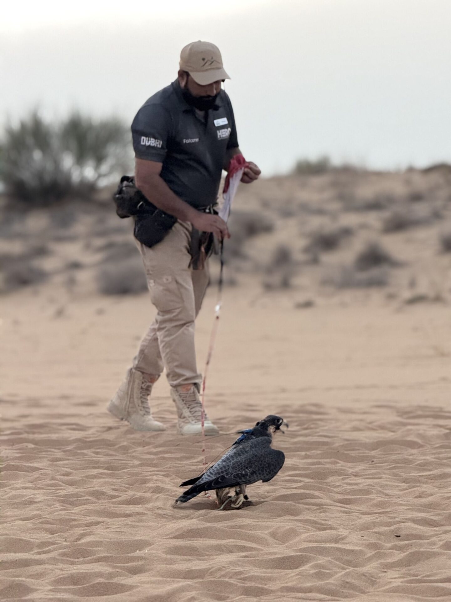 dubai-desert-falcon-show-1440x1920 The Desert Ended Up Being My Favorite Part of Dubai
